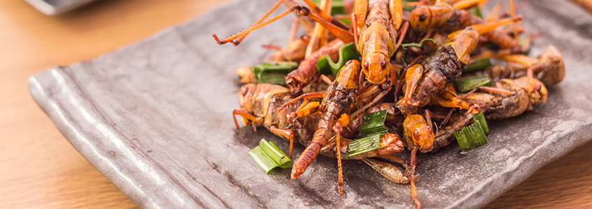 Dr. Maurizio Battino studies the nutritional profile of common edible insects