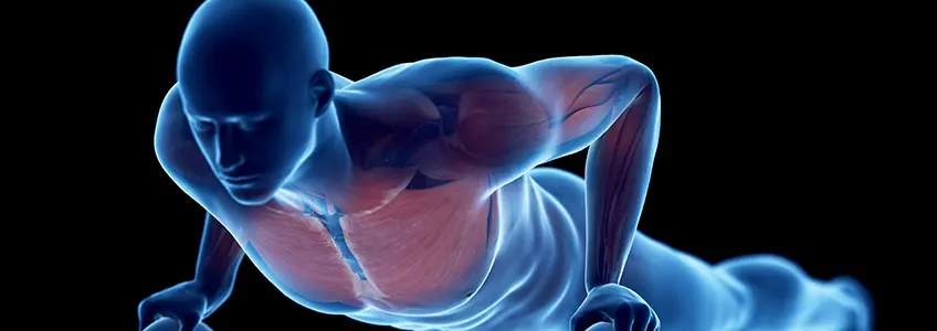 FUNIBER highlights study that validates a tool for assessing upper limb range of motion in athletes