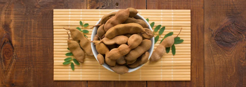 Director of FUNIBER Italy Participates in a Study Analyzing the Natural Medicinal Potential of Tamarind and Its Relationship to Human Health